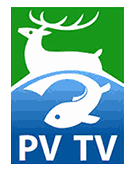 publicitate PV TV